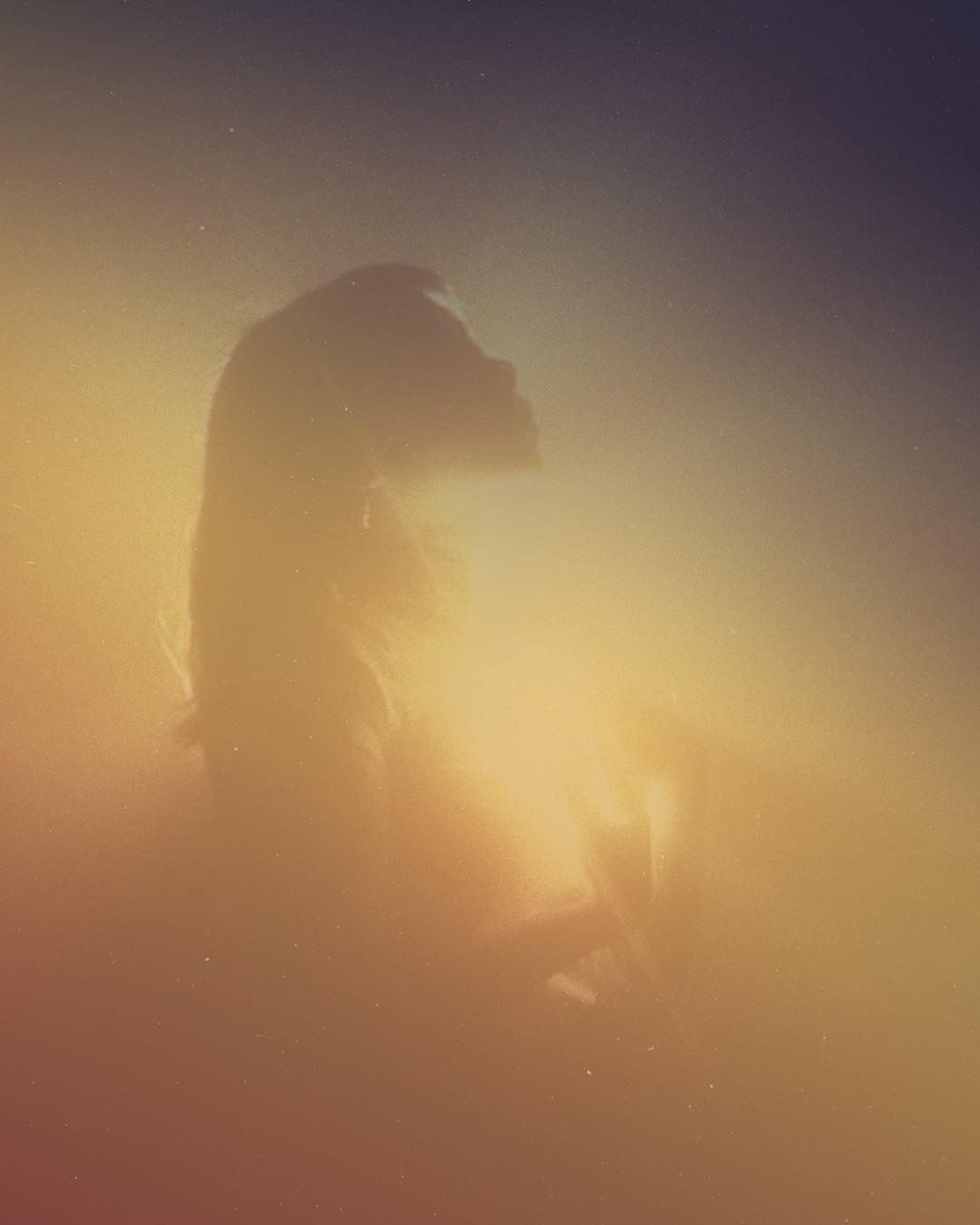 whatsapp image 2026 02 23 at 10.04.03 am